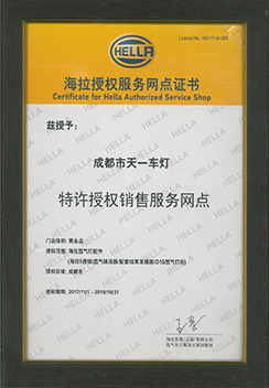 德國海拉授權(quán)服務商